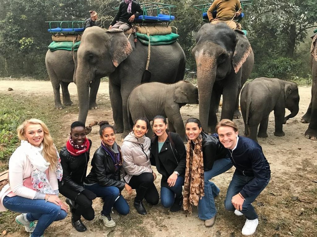 The Miss World touring team takes a photo with elephants in India.