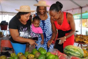 Augus’ Mawnin Market to Open Jamaica 56 Independence Village 1