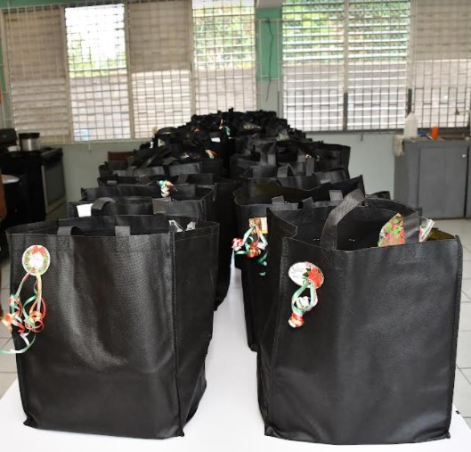 PwC Jamaica delivers 100 care packages to students at St Michael’s Primary School2