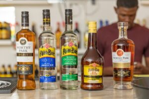 Model Geena Whyte Launches Rum-Centric Rummaz Bar in Negril on 4206